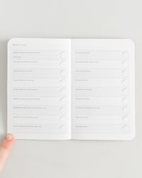 Pregnancy Passport on a themed background