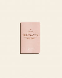 Pregnancy Passport on a themed background