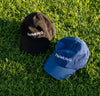 The Thinking Cap in black and Cobalt on grass.