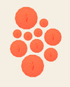 Pattern Brands