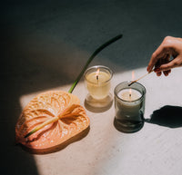 Two 6 oz Double wall  candles being lit on a creamish background with a flower on the left hand side of it. 