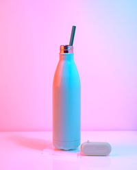 Traveler Straws