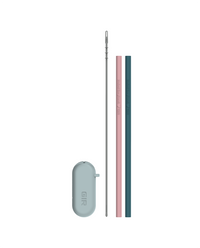 Traveler Straws