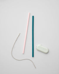 Traveler Straws