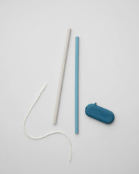 Traveler Straws