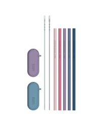Traveler Straws