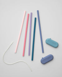 Traveler Straws
